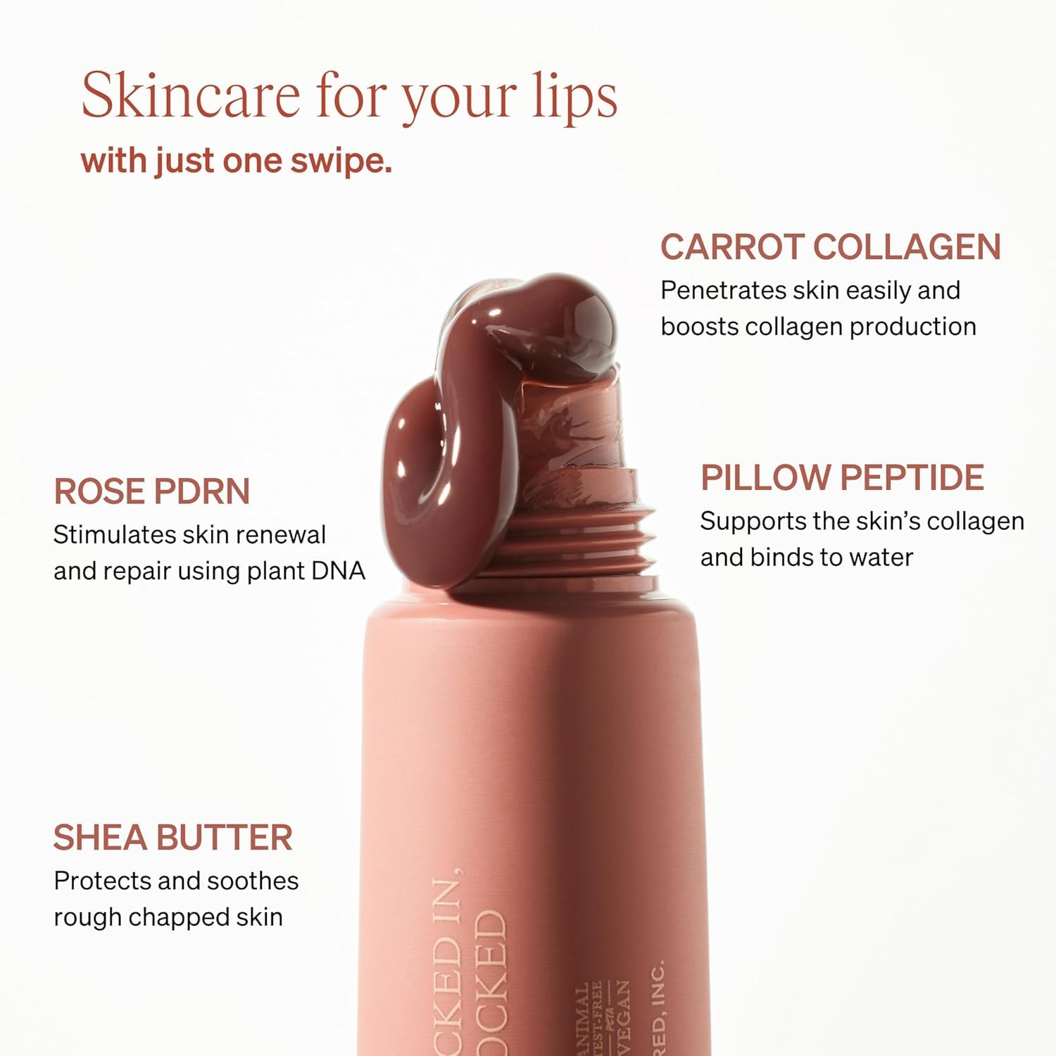 Skincare for your lips with just one swipe. Rose PDRN stimulates skin renewal and repair using plant DNA. Carrot Collagen penetrates skin easily and boosts collagen production. Shea Butter products and soothes rough chapped skin. Pillow Peptide supports the skin's collagen and binds to water.
