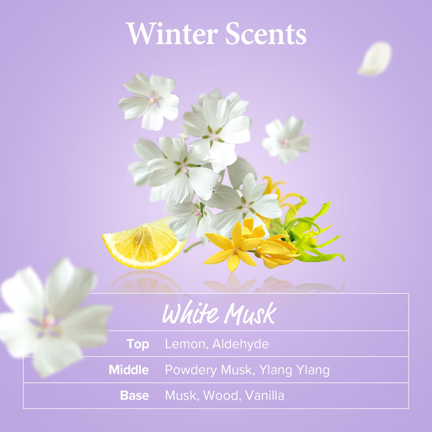 white musk scents. Top contains lemon, and aldehyde.  Middle contains powdery musk and ylang ylang. Base contains musk, wood, and vanilla. 