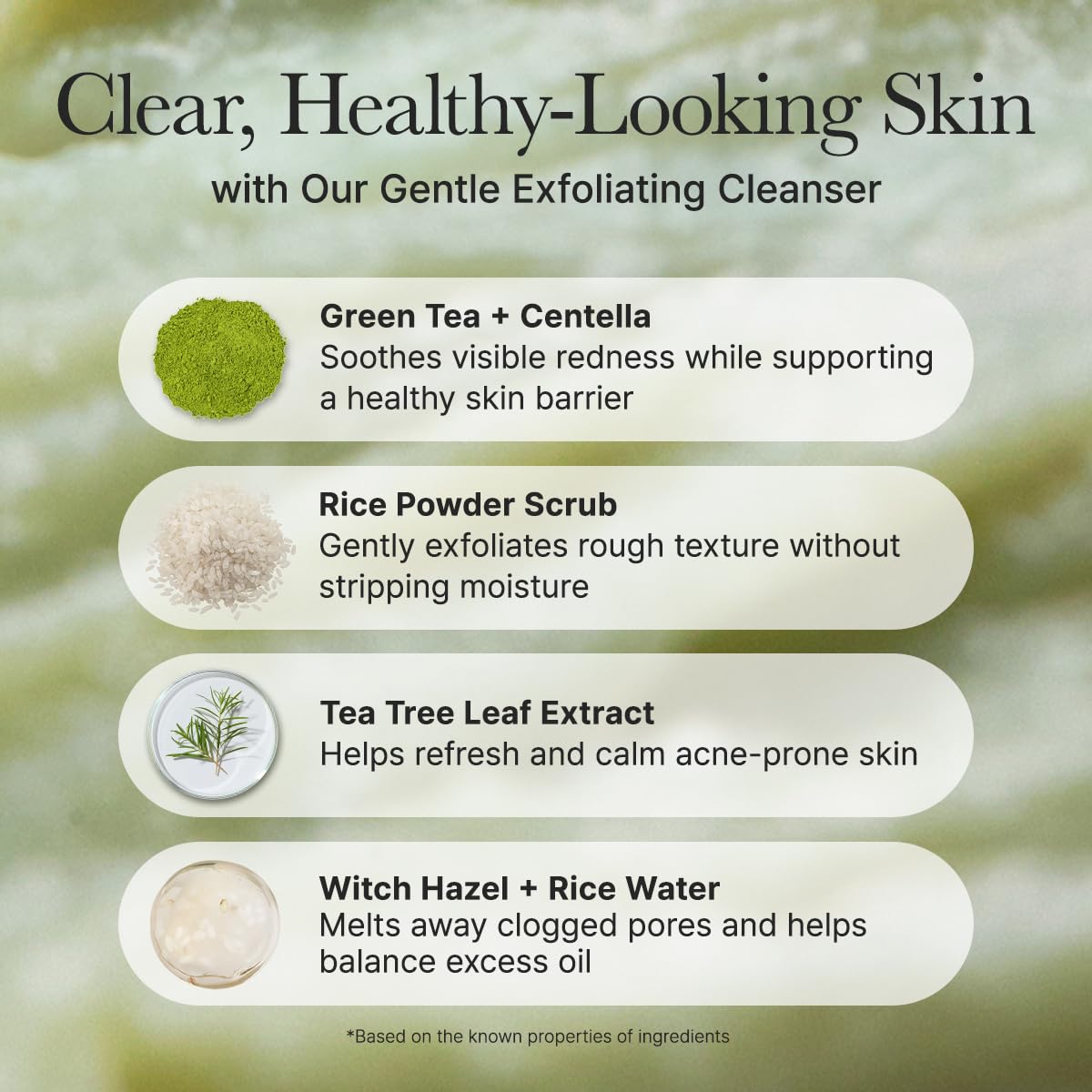 Arencia Fresh Green Rice Mochi Cleanser 100g 2 Pack